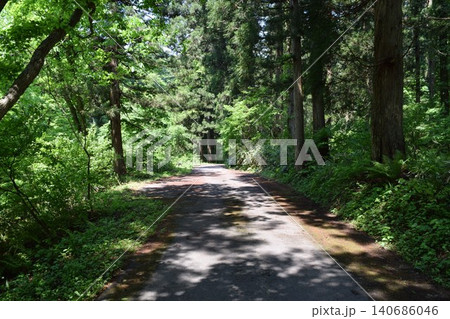 山岳道路 山形県庄内 山岳道路 山形県庄内 140686046