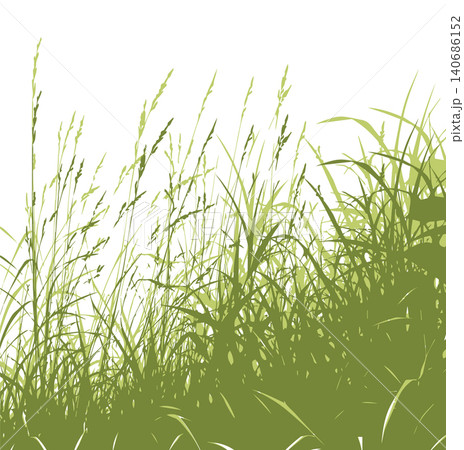 Grass green silhouette vector isolated on white background nature design illustration of grass plant pattern greenery artwork Hand drawn. Not AI, vector illustration. 140686152