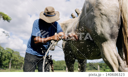 Latino stableman washing horse on a ranch 140686323