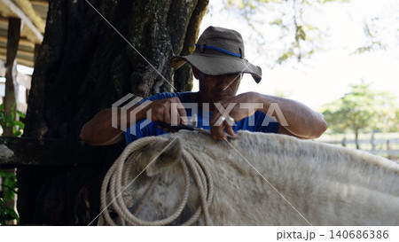 Stableman grooming horse mane on a ranch Stableman grooming horse mane on a ranch 140686386