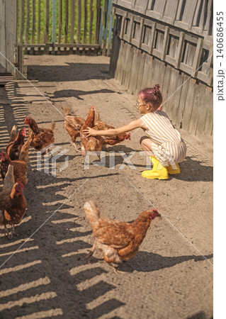 A little girl in yellow rubber boots is petting domestic chickens in the yard. Childhood in the countryside. A little girl in yellow rubber boots is petting domestic chickens in the yard. Childhood in the countryside. 140686455