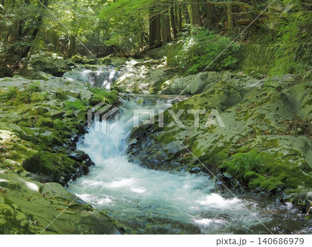 静岡県　森の中を流れる清流　5月 140686979