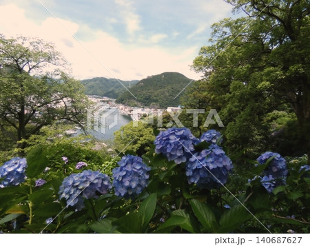 高台から望む港町と紫陽花の風景 高台から望む港町と紫陽花の風景 140687627