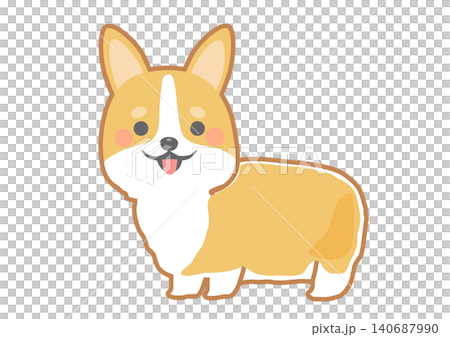 可愛的柯基犬 可愛的柯基犬 140687990