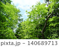 群馬　公園内の景色 140689713
