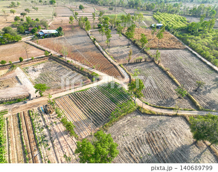 Aerial view of cultivated farmland with crop rows, rural roads, ponds, and scattered farmhouses. Agricultural production and sustainable land management. Sustainable agriculture and rural development. Aerial view of cultivated farmland with crop rows, rural roads, ponds, and scattered farmhouses. Agricultural production and sustainable land management. Sustainable agriculture and rural development. 140689799