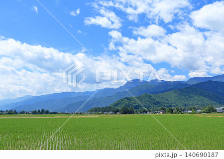 安曇野 初夏の田園と北アルプス 安曇野 初夏の田園と北アルプス 140690187