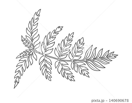 Bracken fern leaf graphic botanical illustration in line art style. Hand drawn vector floral element of prehistoric woodland plant. Perfect for the use of ecological material and sustainable designs. Bracken fern leaf graphic botanical illustration in line art style. Hand drawn vector floral element of prehistoric woodland plant. Perfect for the use of ecological material and sustainable designs. 140690678