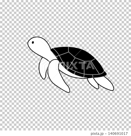 黑白海龜插圖。夏季主題,海洋主題,海龜,海洋生物,魚類。 黑白海龜插圖。夏季主題,海洋主題,海龜,海洋生物,魚類。 140691017