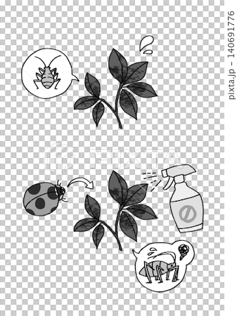 アブラムシによる植物のすす病被害と対策の図解イラスト(白黒・モノクロ・プリント用セット) アブラムシによる植物のすす病被害と対策の図解イラスト(白黒・モノクロ・プリント用セット) 140691776