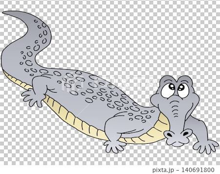 Hand-drawn animal illustration ☆ Crocodile Hand-drawn animal illustration ☆ Crocodile 140691800