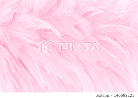 Beautiful soft pink bird feathers pattern texture background. Beautiful soft pink bird feathers pattern texture background. 140692125