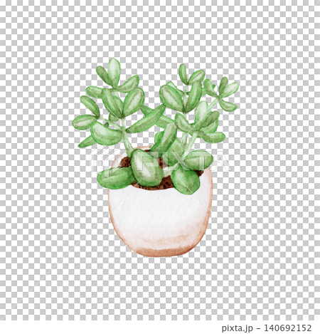 Small houseplants, succulents, watercolor illustrations Small houseplants, succulents, watercolor illustrations 140692152