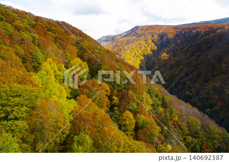 城ヶ倉大橋から見た紅葉 城ヶ倉大橋から見た紅葉 140692387