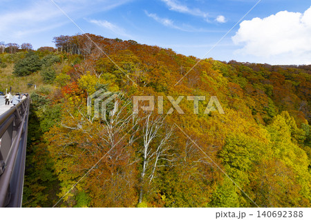 城ヶ倉大橋から見た紅葉 城ヶ倉大橋から見た紅葉 140692388