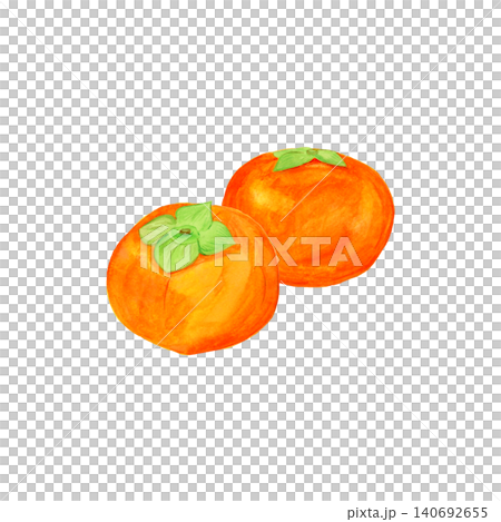 手描き水彩で描いた柿2個のイラスト 秋の味覚の果物素材 手描き水彩で描いた柿2個のイラスト 秋の味覚の果物素材 140692655
