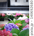 紫陽花 140692680