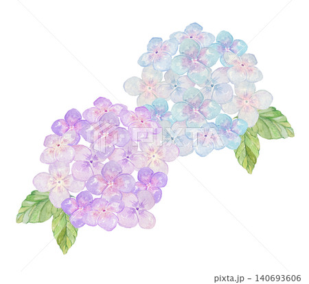 水色と紫の紫陽花イラスト　水彩素材 140693606