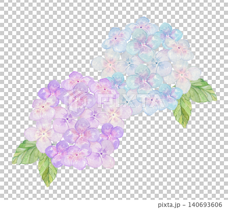 水色と紫の紫陽花イラスト　水彩素材 140693606