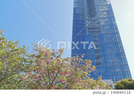 東山動植物園を象徴する爽やかな青空とピンクの桜に彩られたタワー(東山動植物園 愛知県 名古屋市) 東山動植物園を象徴する爽やかな青空とピンクの桜に彩られたタワー(東山動植物園 愛知県 名古屋市) 140694118