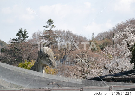 恐竜がのぞく(東山動植物園 愛知県 名古屋市) 恐竜がのぞく(東山動植物園 愛知県 名古屋市) 140694224