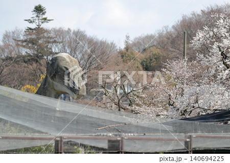 恐竜がのぞく(東山動植物園 愛知県 名古屋市) 恐竜がのぞく(東山動植物園 愛知県 名古屋市) 140694225