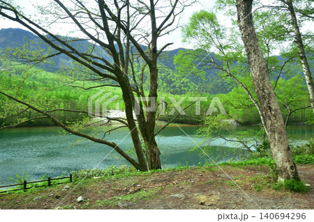 長野県松本市上高地大正池付近の風景(2023年) 140694296