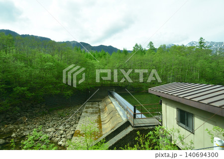 長野県松本市上高地大正池付近の風景(2023年) 長野県松本市上高地大正池付近の風景(2023年) 140694300