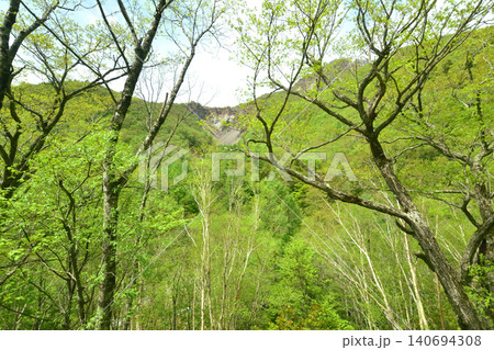 長野県松本市上高地大正池付近の風景(2023年) 長野県松本市上高地大正池付近の風景(2023年) 140694308