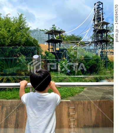 動物園で動物を観察する幼児の後ろ姿 動物園で動物を観察する幼児の後ろ姿 140694570