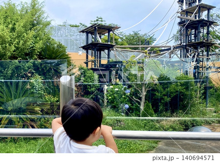 動物園でサルの展示を見つめる幼児の後ろ姿 140694571