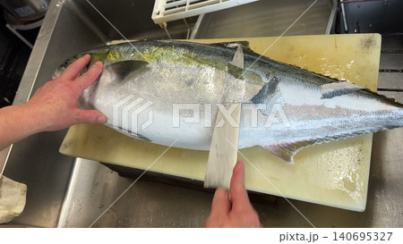 ブリの皮引き Yellowtail skin removal ブリの皮引き Yellowtail skin removal 140695327