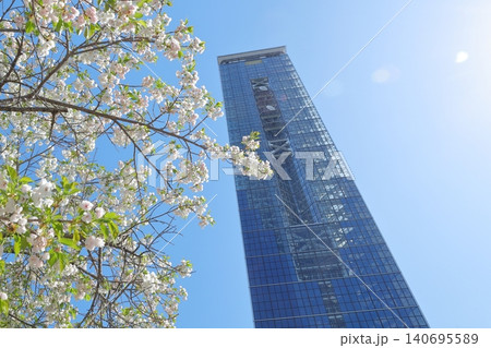東山動植物園を象徴する爽やかな青空とピンクの桜に彩られたタワー(東山動植物園 愛知県 名古屋市) 東山動植物園を象徴する爽やかな青空とピンクの桜に彩られたタワー(東山動植物園 愛知県 名古屋市) 140695589