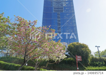 東山動植物園を象徴する爽やかな青空とピンクの桜に彩られたタワー(東山動植物園 愛知県 名古屋市) 東山動植物園を象徴する爽やかな青空とピンクの桜に彩られたタワー(東山動植物園 愛知県 名古屋市) 140695714