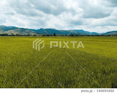 the beauty of the atmosphere of rice fields and mountains in the countryside the beauty of the atmosphere of rice fields and mountains in the countryside 140695888