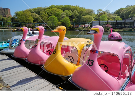 スワンボート カラフルなフラミンゴ型の足漕ぎボート(東山動植物園 愛知県 名古屋市) スワンボート カラフルなフラミンゴ型の足漕ぎボート(東山動植物園 愛知県 名古屋市) 140696118