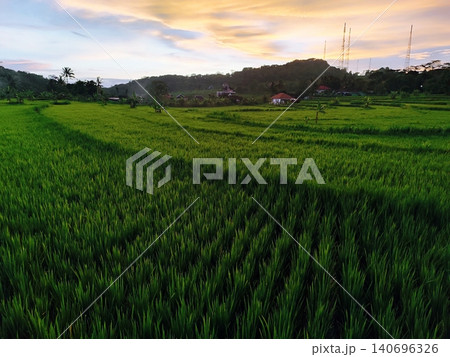 the beauty of the sunset in the rice fields in a village with a colorful sky 140696326