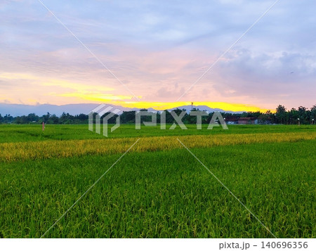 the beauty of the sunset in the rice fields in a village with a colorful sky the beauty of the sunset in the rice fields in a village with a colorful sky 140696356
