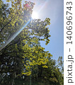 太陽に照らされる木々 140696743