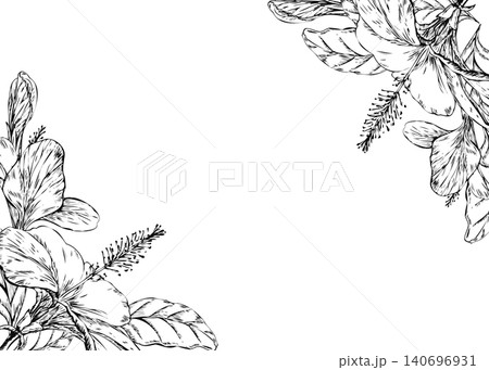 Hibiscus flower corner border vintage botanical illustration with blank space. Engraved botanical vector frame template for tropical wedding invitation, herbal tea package, or beauty branding Hibiscus flower corner border vintage botanical illustration with blank space. Engraved botanical vector frame template for tropical wedding invitation, herbal tea package, or beauty branding 140696931