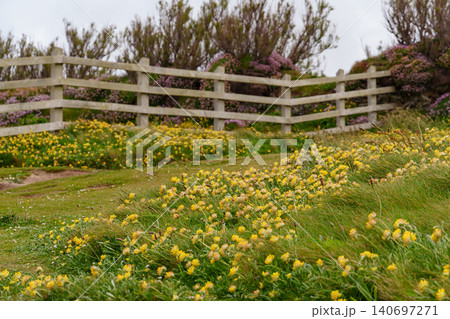 The bedruthan steps in Cornwall, england 140697271