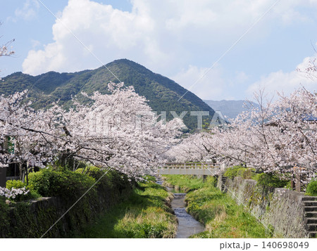 山口市・一の坂川の桜並木 山口市・一の坂川の桜並木 140698049