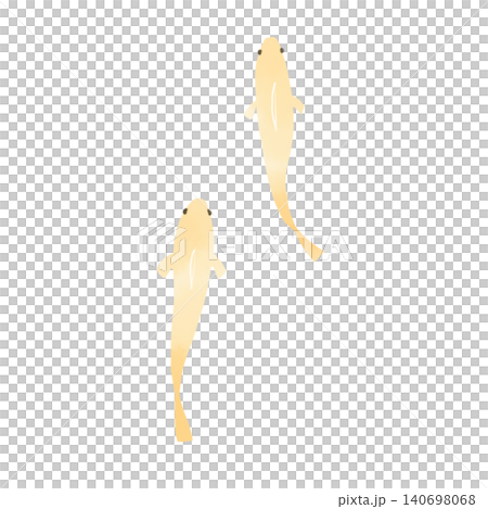 水彩風格的青鱂魚插圖 - 可愛的日式手繪風格,描繪了兩條遊動的青鱂魚。 水彩風格的青鱂魚插圖 - 可愛的日式手繪風格,描繪了兩條遊動的青鱂魚。 140698068