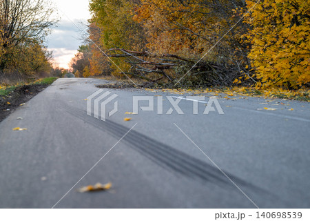 Highway blocked by fallen tree. Countryside asphalt road with fallen tree, traces of tires braking Highway blocked by fallen tree. Countryside asphalt road with fallen tree, traces of tires braking 140698539
