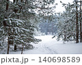 Pine forest covered in snow, path through trees. Winter snowy landscape of pine forest, beautiful winter nature in countryside 140698589
