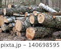 Big pile of cut logs stacked in the forest on the ground. Timber in the woods, concept of forestry, renewable energy resources 140698595