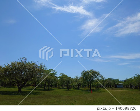 公園にある広場 公園にある広場 140698720