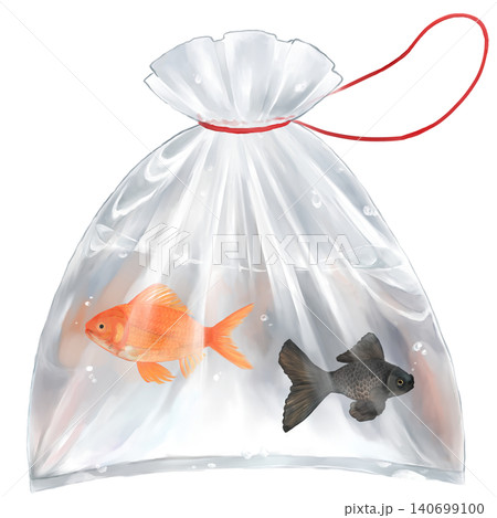 袋に入った金魚のイラスト 袋に入った金魚のイラスト 140699100