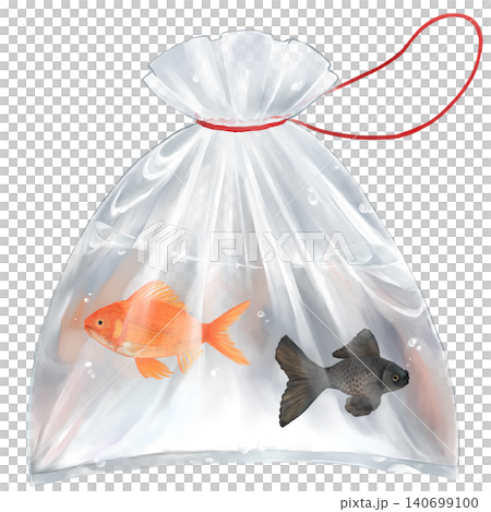 袋に入った金魚のイラスト 袋に入った金魚のイラスト 140699100