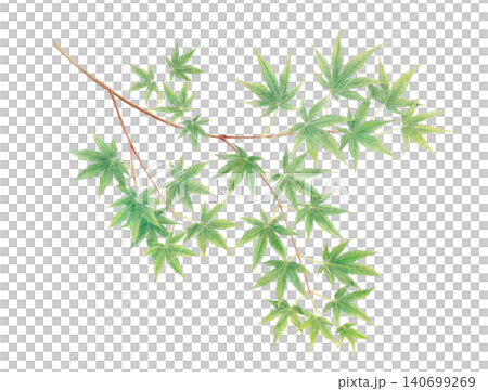 Hand-drawn blue maple leaf background material 140699269